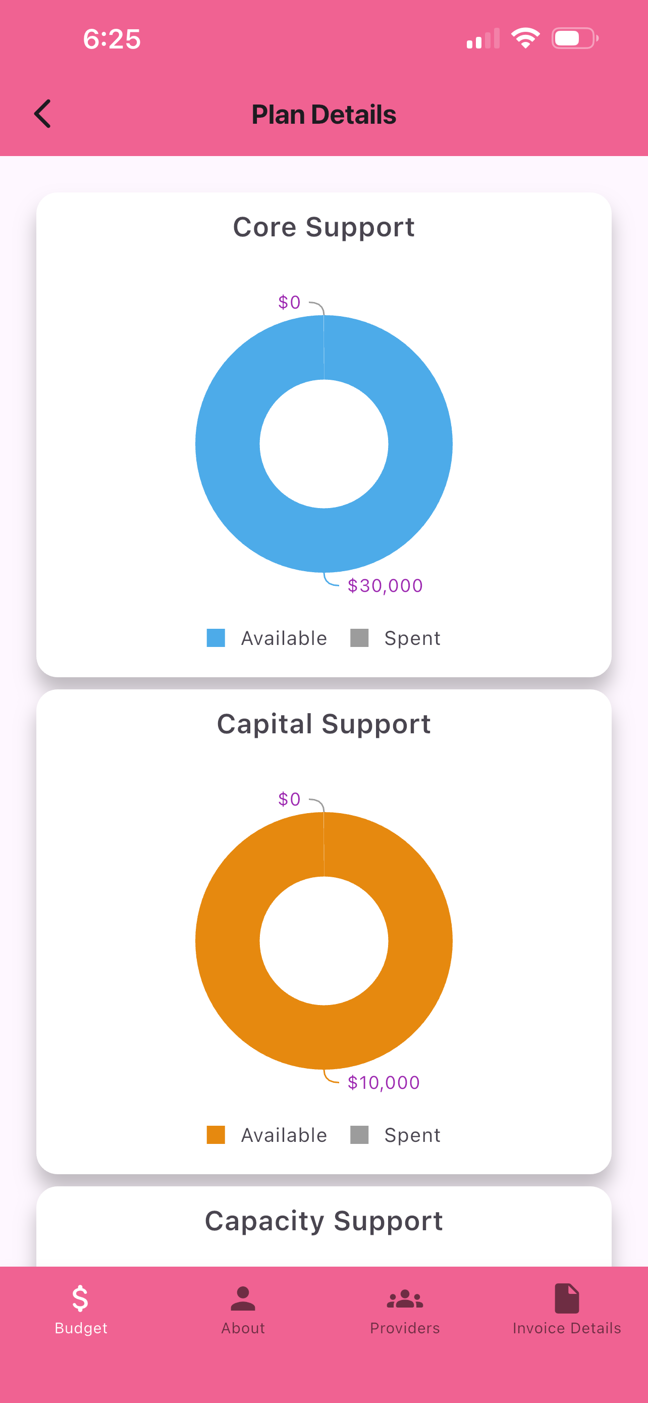 Planaji App - Real-Time Budget Tracking